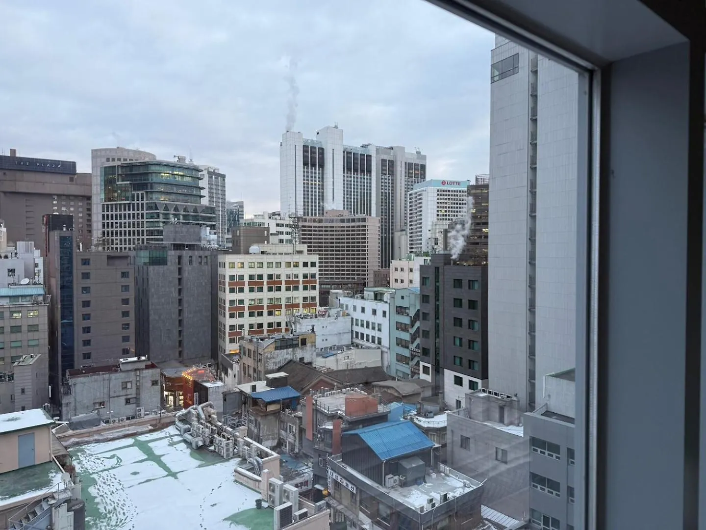 The Comfort Seoul